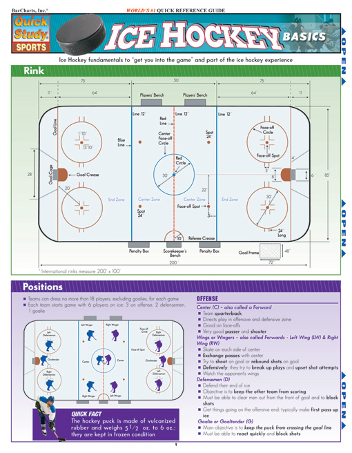 Title details for Ice Hockey Basics by Jason S. Scerbo - Available